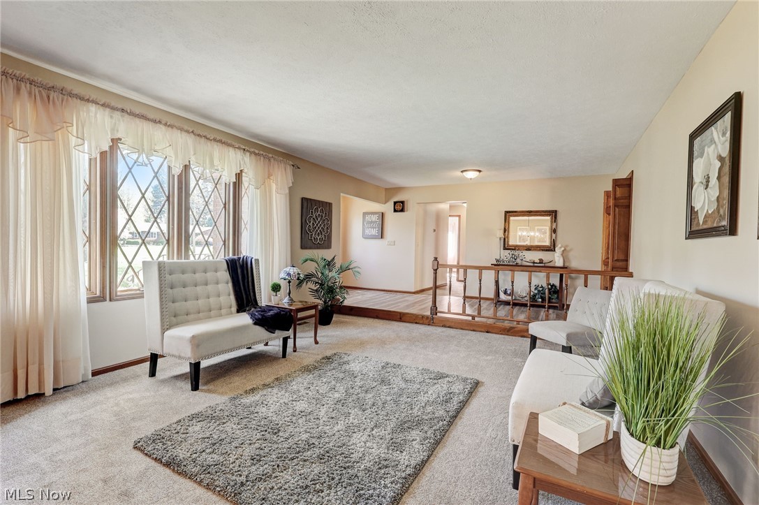 Meadow Wood Allotment - Residential