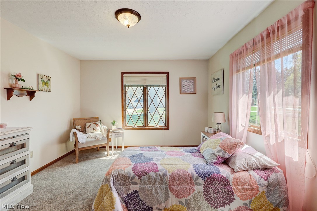 Meadow Wood Allotment - Residential