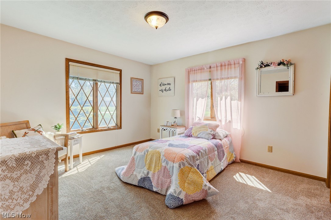 Meadow Wood Allotment - Residential