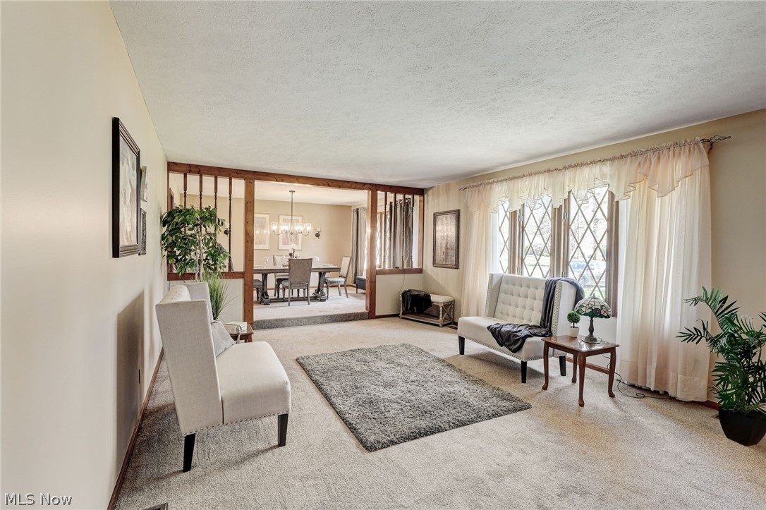 Meadow Wood Allotment - Residential