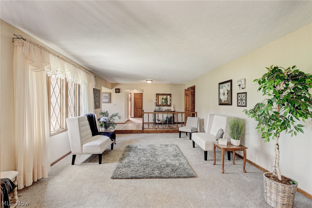 Meadow Wood Allotment - Residential