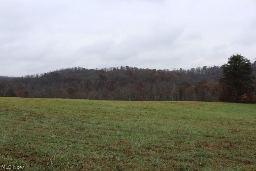 28 acres for sale in Washington County, Ohio. A great property with a beautiful building site. Fantastic hunting opportunity. Previous owner reserved mineral rights but past on first right of refusal to purchase them. This will also pass on to the new owner. Great hunting & deer sign. Additional acreage may be available. Call today before it's gone!