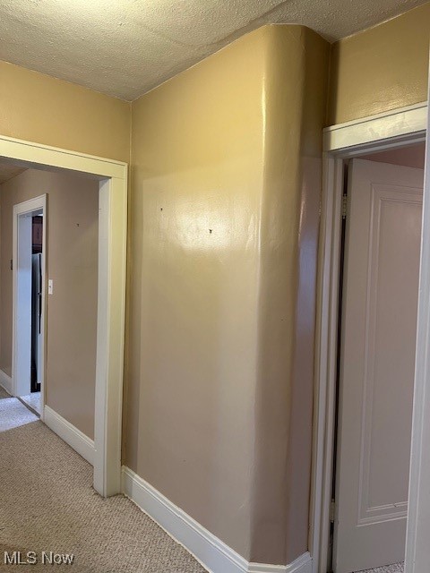 Wild Lot 5 - Residential Lease