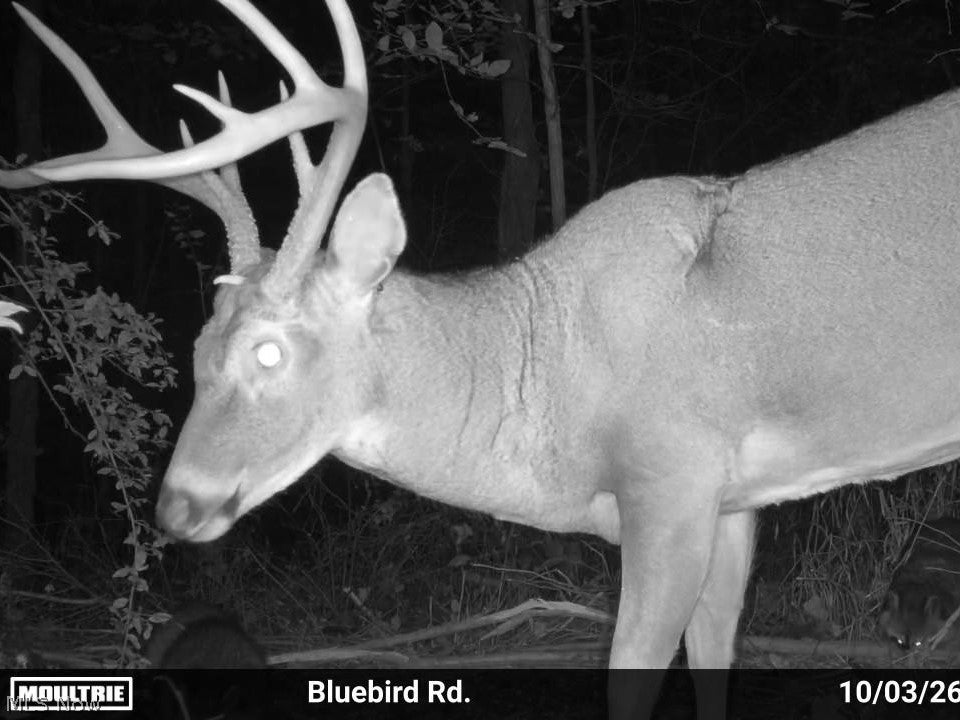 7145 Bluebird Road