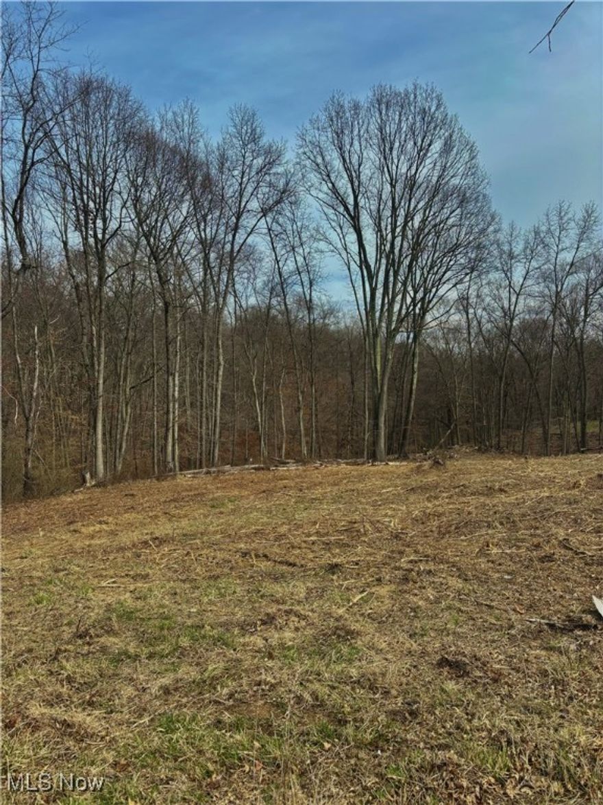 Beautiful 0.8065-acre building lot. Situated outside the city limits, you get the best of both worlds—a serene, peaceful setting while still being mere minutes from everything you need. Belmont County water and sewage are available to tap into, per the Belmont County Water Department. This lot is perfect for your dream home, so don't let this amazing opportunity pass you by!