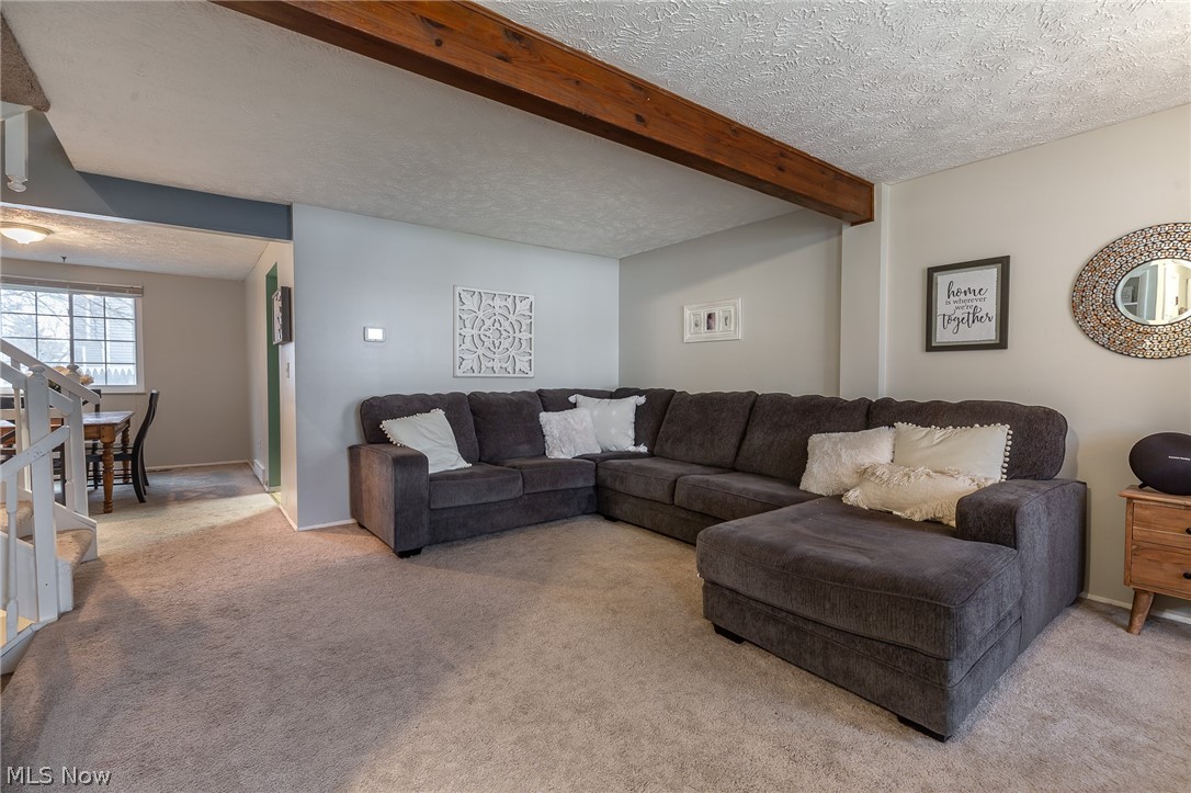 Chestnut Commons 01 - Residential