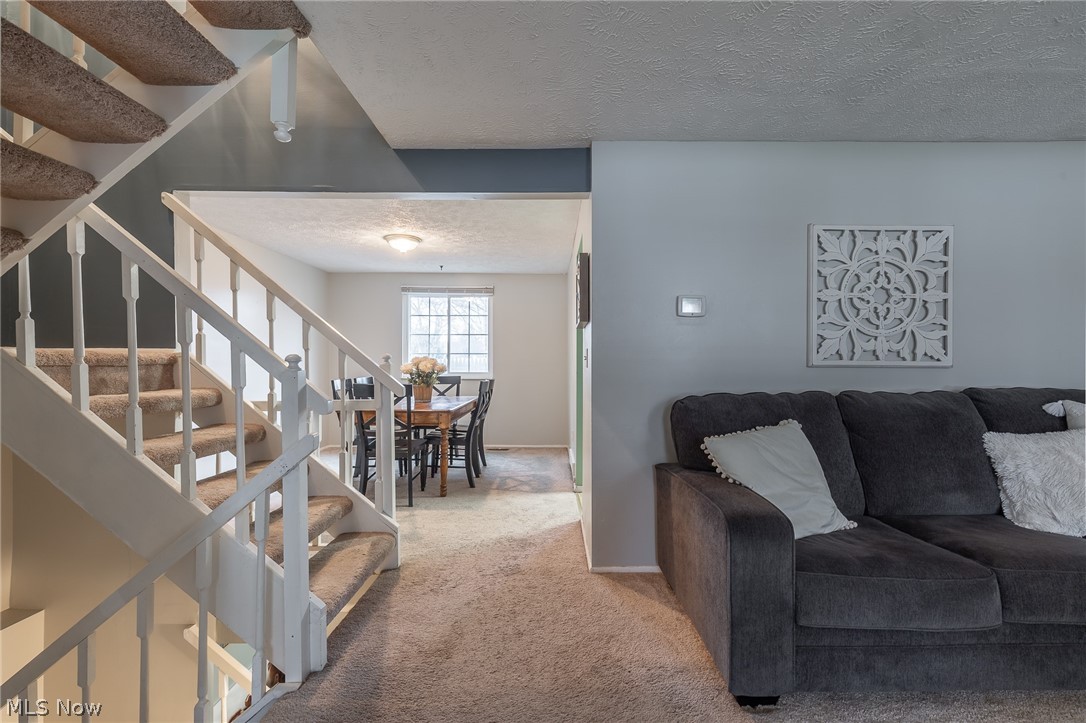 Chestnut Commons 01 - Residential