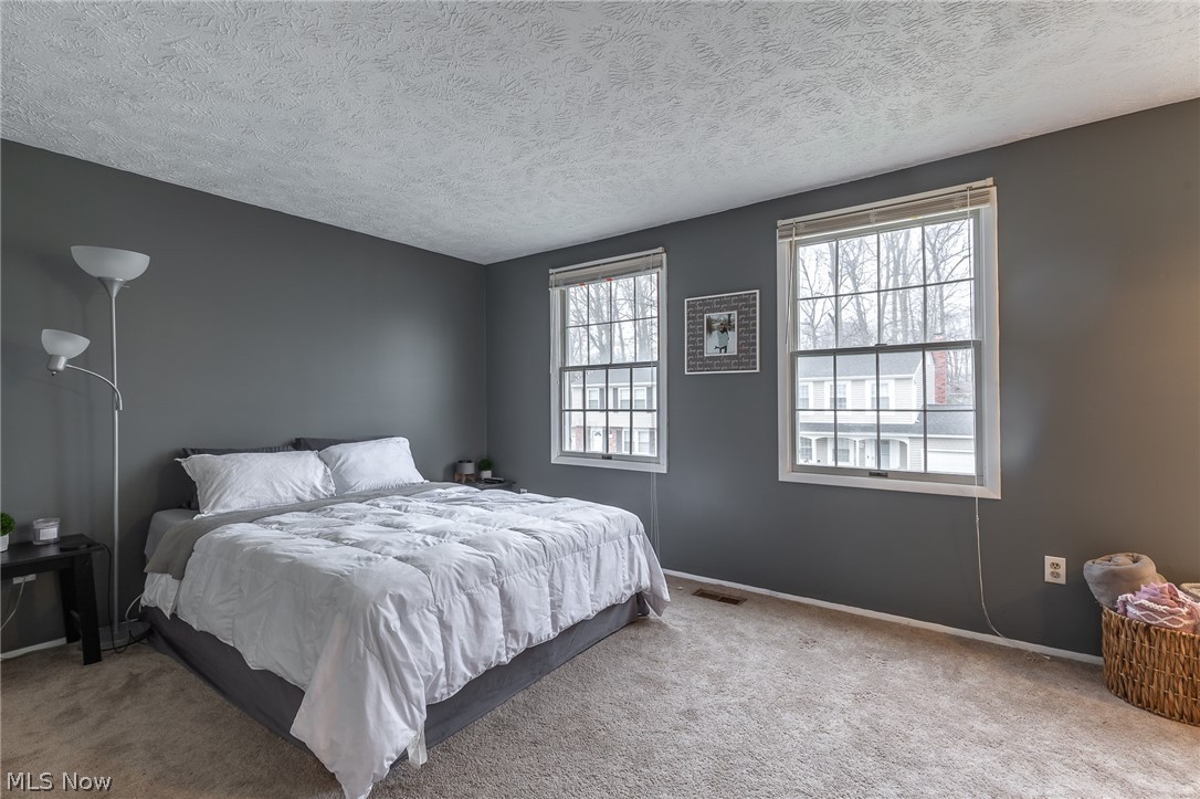 Chestnut Commons 01 - Residential