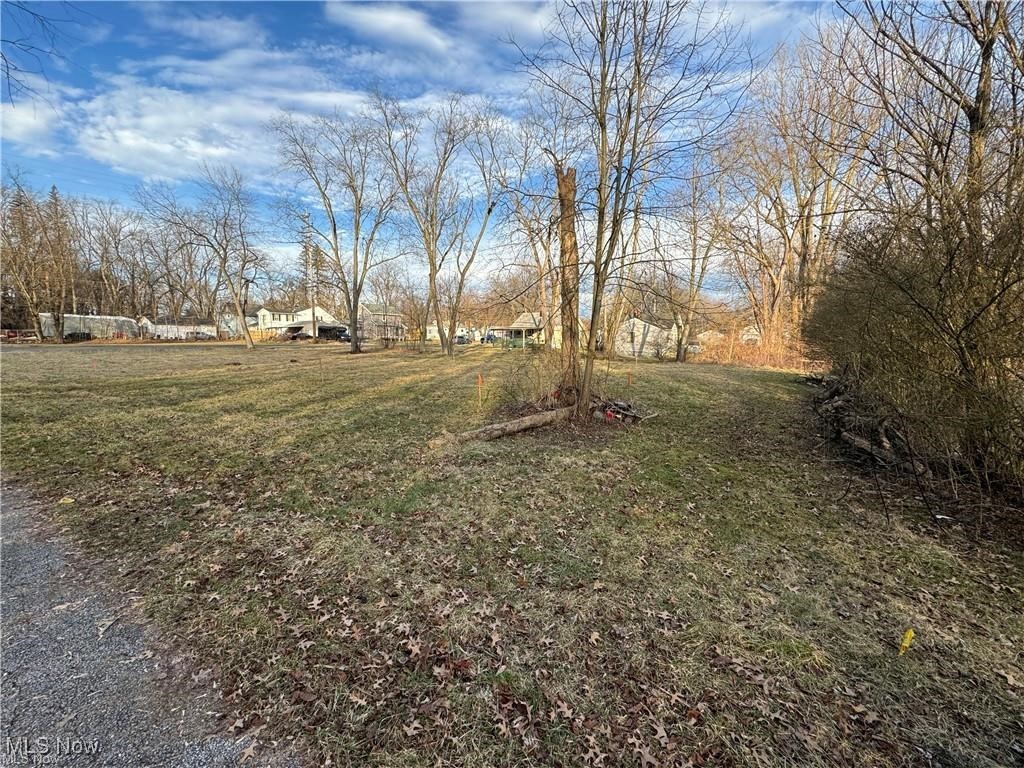 Victory Park Allotment - Land