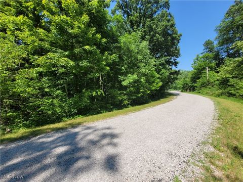 Vacant Land For Sale - 6066 Chervil Drive<br/> Ashland County, West Salem, OH 44287