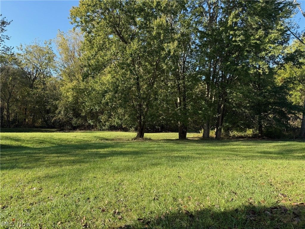 Photo of 1061 Jonathan Avenue, Akron, OH 44333 (MLS # 5191433)