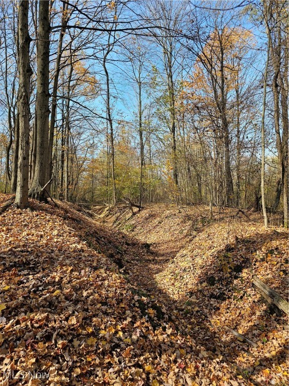 V/L Approx 18 Acres Cobb Drive, Streetsboro, Ohio image 7