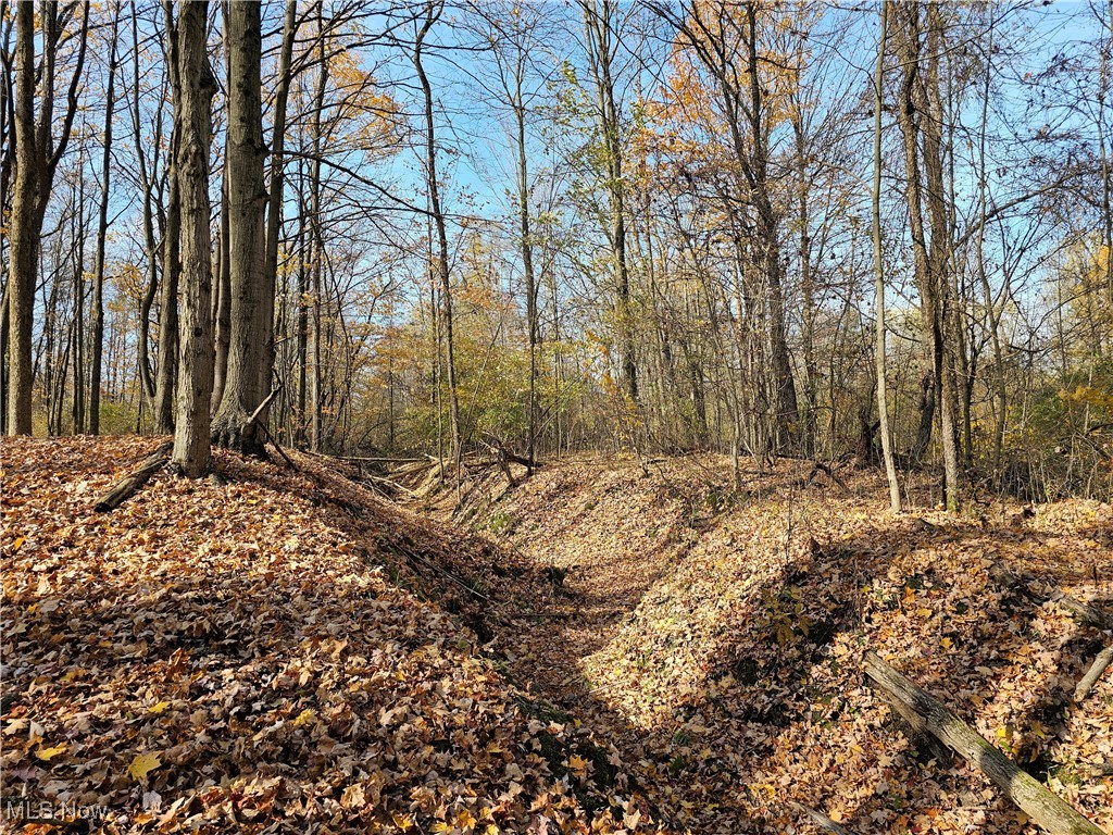 V/L Approx 18 Acres Cobb Drive, Streetsboro, Ohio image 9