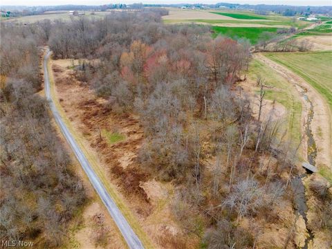 Vacant Land For Sale - Pigeon Run Avenue<br/> Stark County, Navarre, OH 44662