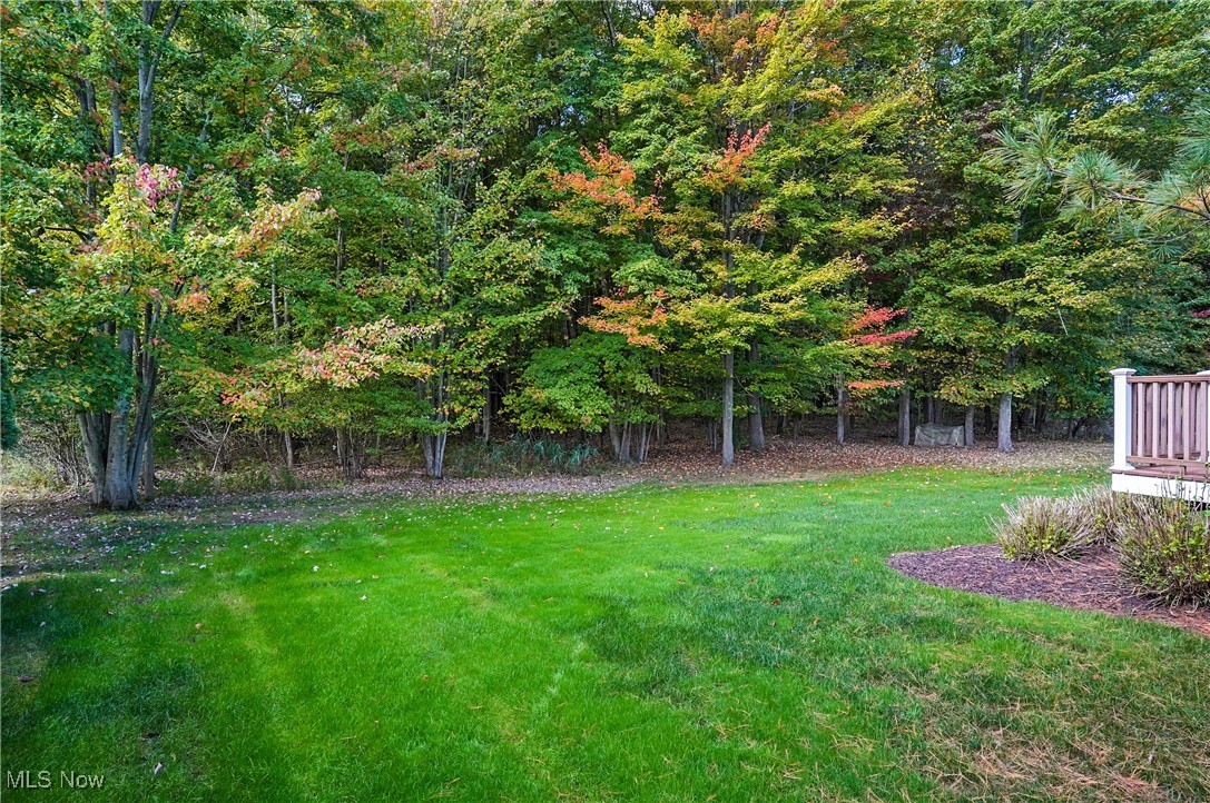 Ellison Creek Sub - Residential