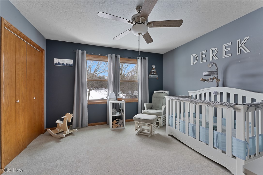 8241 Akron Canfield Road, Canfield, Ohio image 30