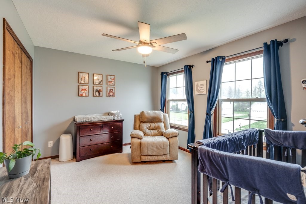 Meadows/Mogadore - Residential