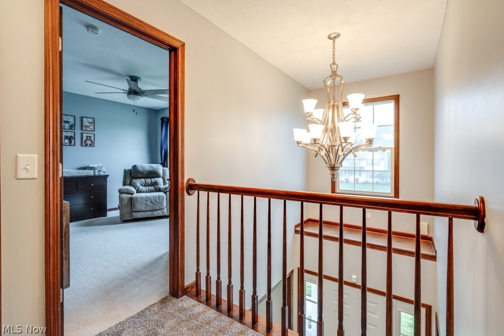 Meadows/Mogadore - Residential