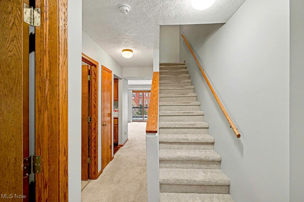 Levee Twnhses - Residential