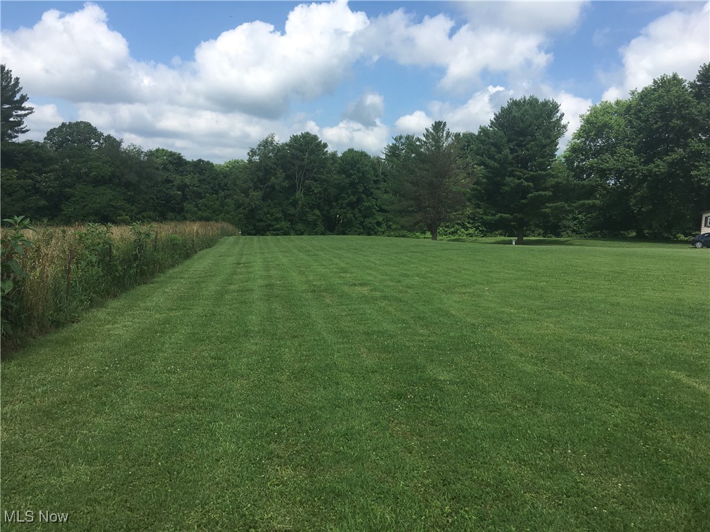 73539 Colerain Mt. Pleasant Road, Dillonvale, Ohio image 21