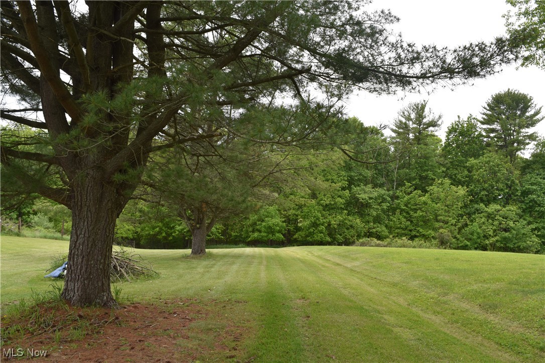 73539 Colerain Mt. Pleasant Road, Dillonvale, Ohio image 14