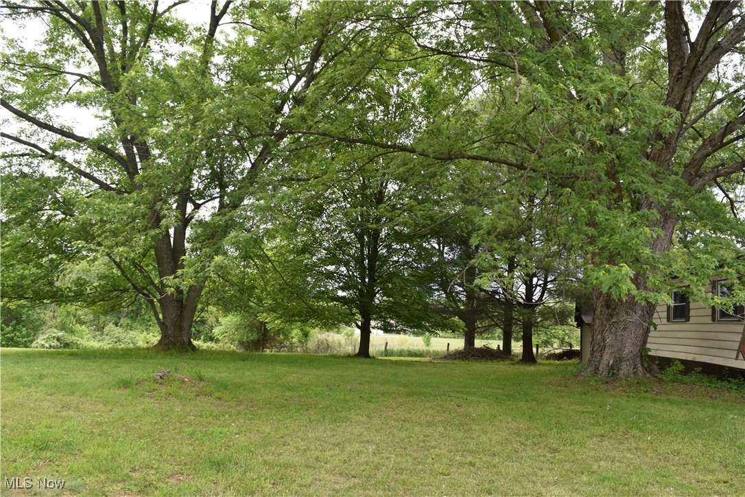 73539 Colerain Mt. Pleasant Road, Dillonvale, Ohio image 17