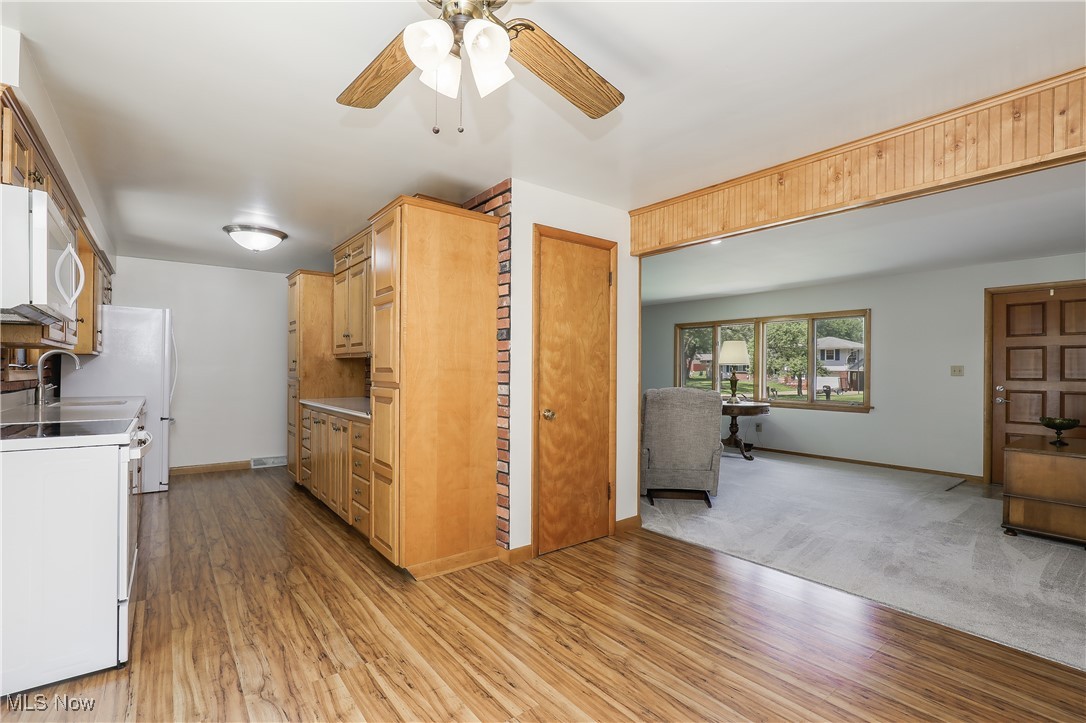 Burrshire Allotment - Residential