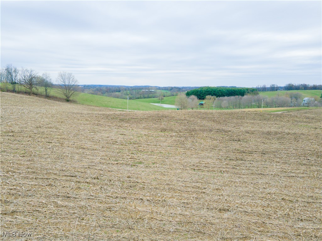 Township Road 80, Millersburg, Ohio image 19