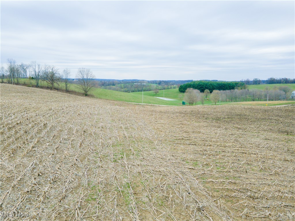 Township Road 80, Millersburg, Ohio image 18