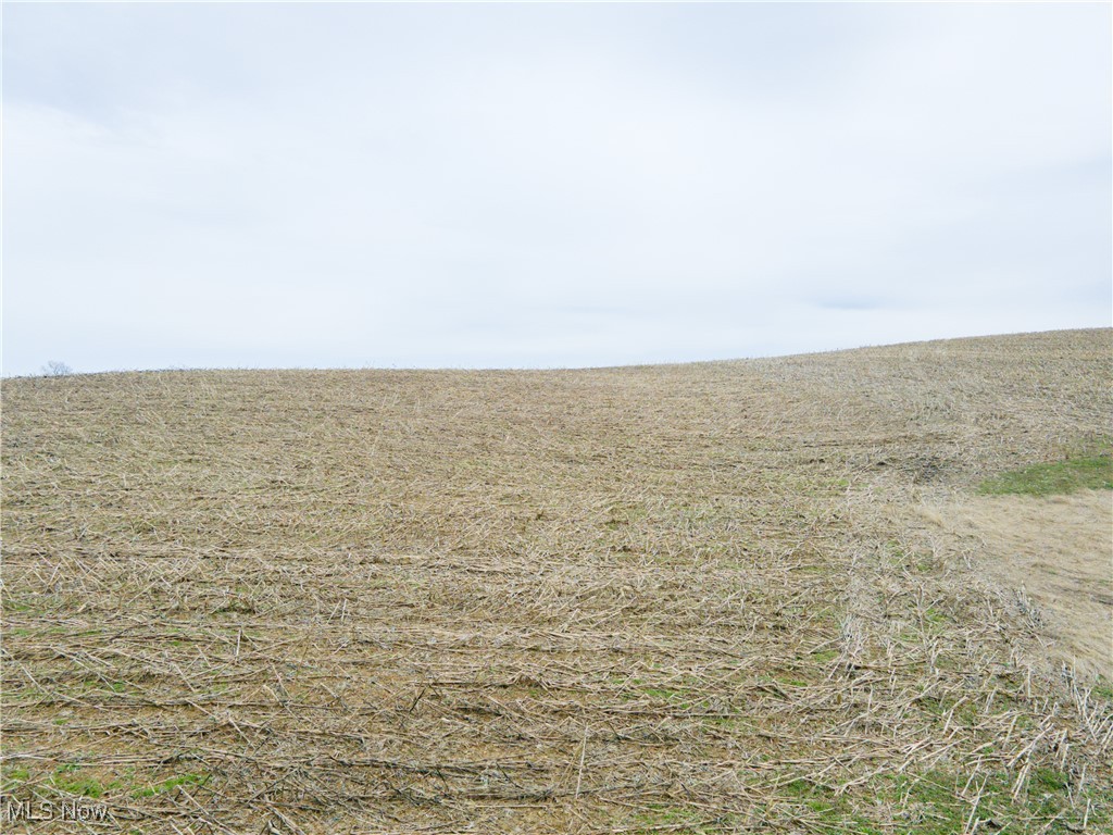 Township Road 80, Millersburg, Ohio image 15