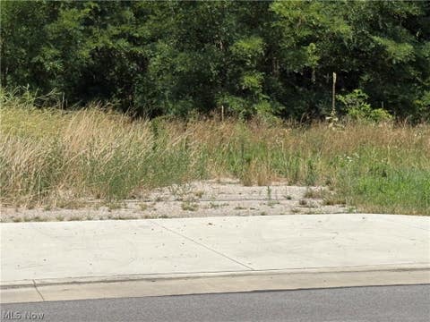 Vacant Land For Sale - 5395 N Ridge Road<br/> Madison, OH 44057