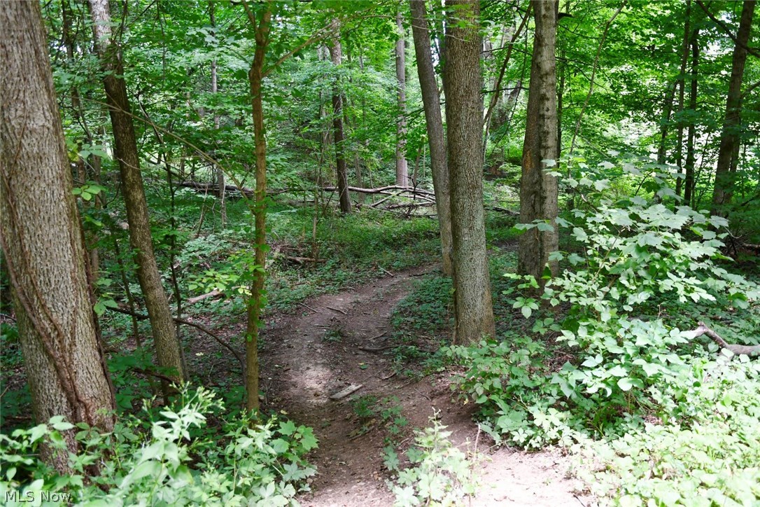 Cedar Hills - Residential