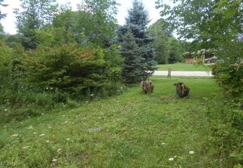 Vacant Land For Sale - VL Shurmer Road<br/> Strongsville, OH 44136