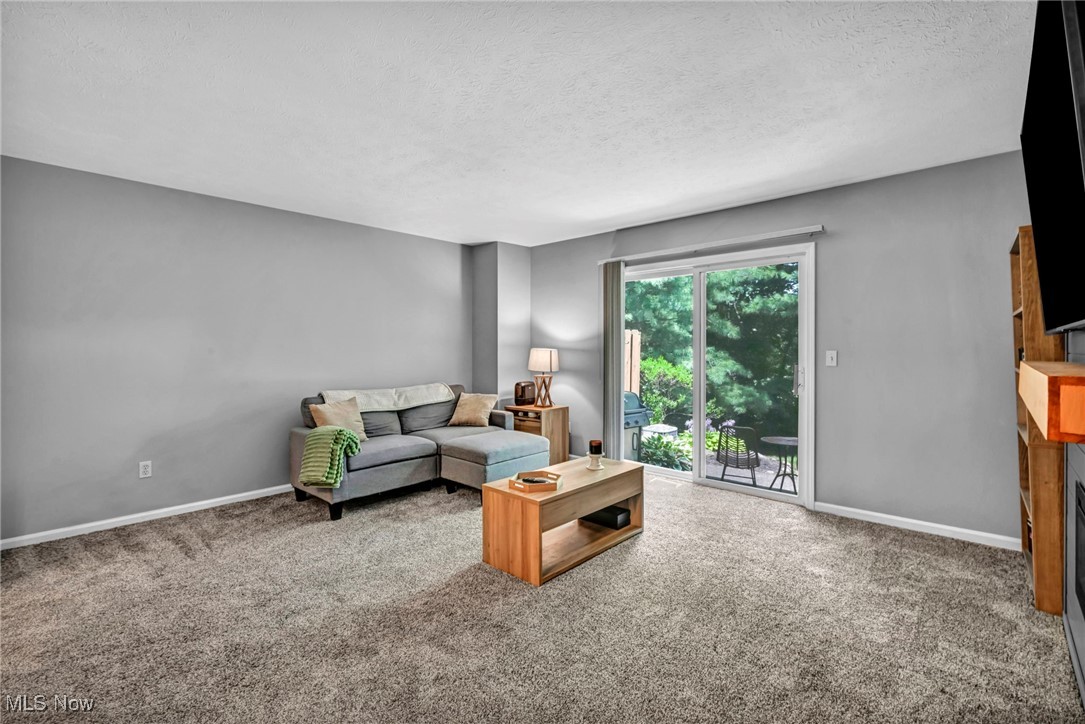1351 Meadow Run