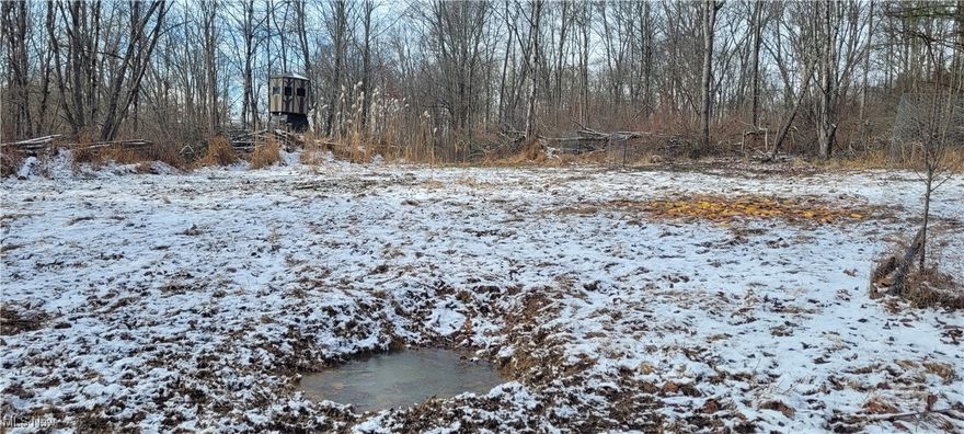 21.276 acres for sale only 45 minutes from Millersburg and 10 minutes from Warsaw. Located in Western Coshocton County the top deer harvest county in the state, this property has excellent road frontage along SR 79 and is completely wooded with a nice clearing towards the front with a newer cabin and camping area. There is extraordinary deer sign throughout the property, a creek, trails, and 2 elevated blinds overlooking feeders and food plots. Both blinds are very easily accessed and provide low pressure hunting. Multiple treestands in great spots transfer as well. This area is known to hold trophy class whitetails, and this property is no exception. There is an ideal mix of quality young timber and thick growth areas for bedding, therefore making this property very attractive to the hunter and deer alike. The seller has done lots of habitat improvement to the property including hinge cutting, blind and stand access routes, miscanthus plantings and water holes to name a few. Seller to transfer all mineral rights. Properties of this size don’t last long, so buy today while it’s still available.