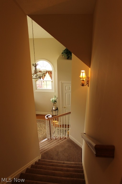 Village Reserve - Residential