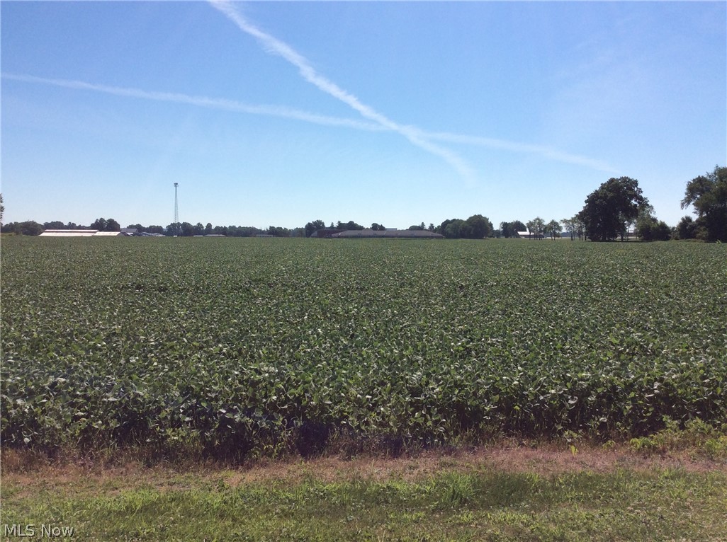 Bennington Farms - Land