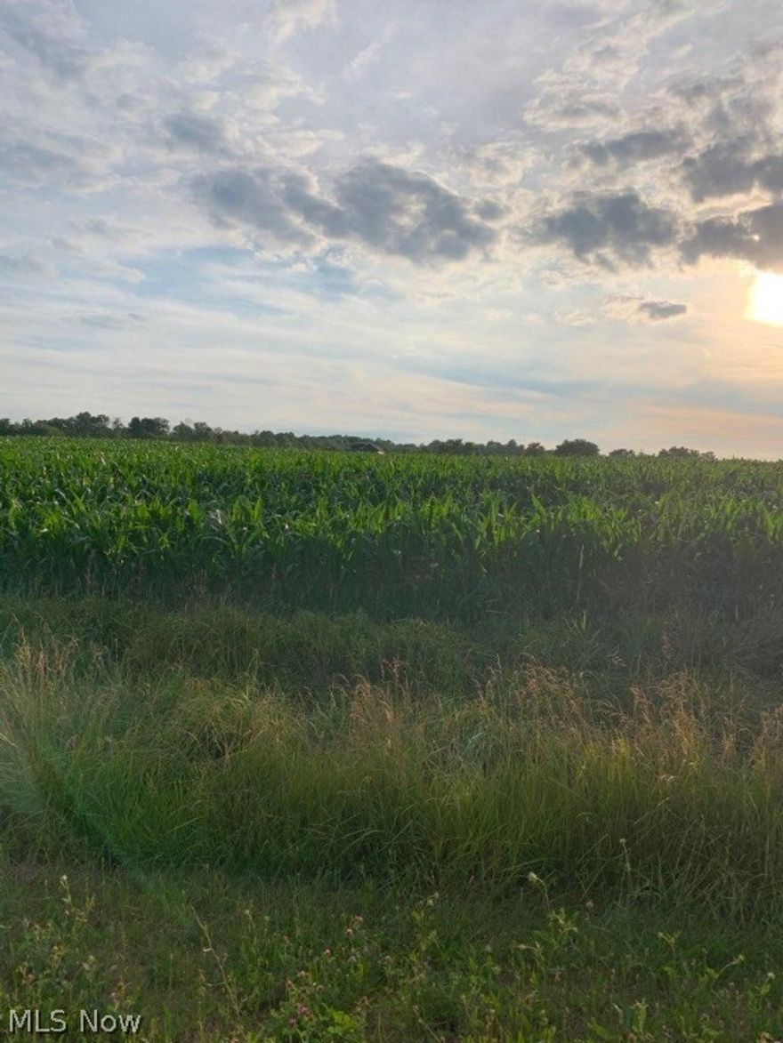2 acre building lot in Norwayne Schools. Bennington Farm subdivision. Area of nice homes. Great views. Restrictions: minimum sq ft, no commercial, no mobiles.