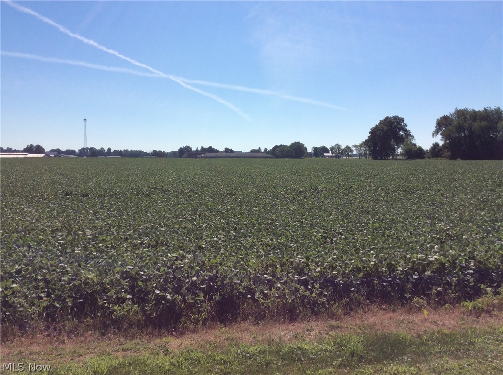 Bennington Farms - Land