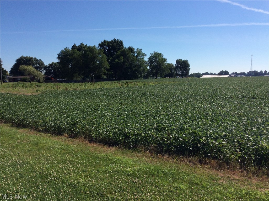 Bennington Farms - Land