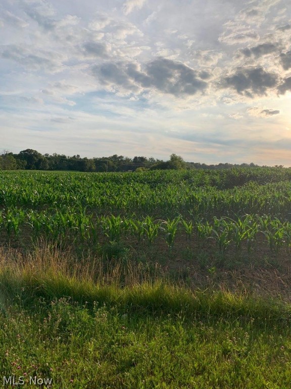 Bennington Farms - Land