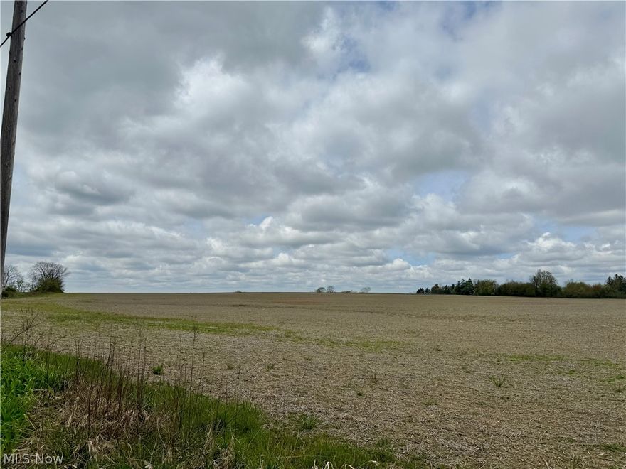 Great location in Springfield Township, Mahoning County near Pine Lake, and Firestone Farms golf, entertainment, dining and shopping. 14 Acres in Springfield LSD, flat and cleared, currently being farmed. Mineral rights to transfer with acceptable offer.