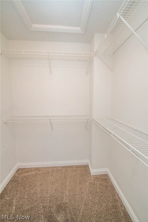 MacIntosh Farms - Residential