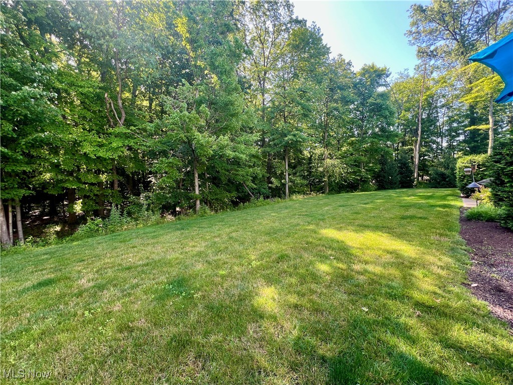 Wildberry Sub #4 - Residential