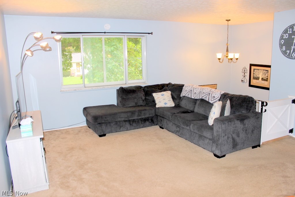Turkeyfoot Park Estates - Residential