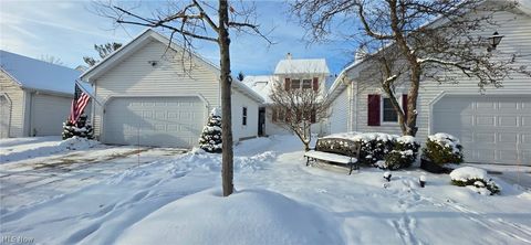 6667 Hidden Lake Trail Brecksville OH 44141