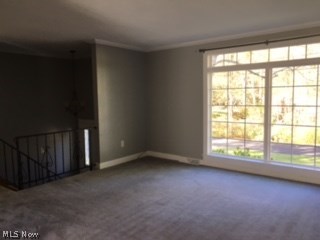 Buena Vista Heights - Residential