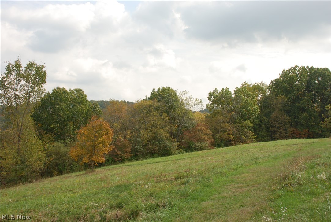 Virginia Ridge Farm - Land