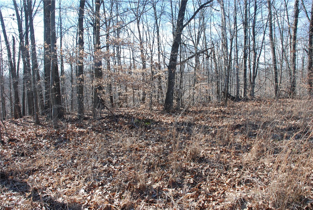 Virginia Ridge Farm - Land