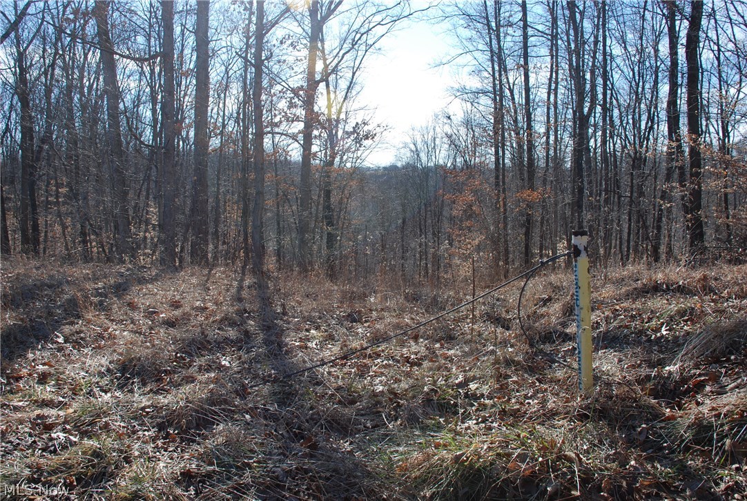 Virginia Ridge Farm - Land